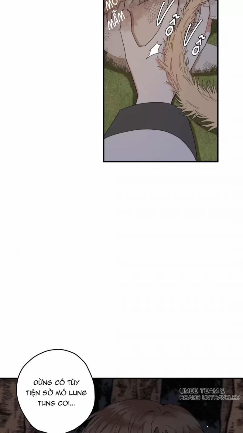 Dưới Tán Hoa Liên Kiều 9 trang 4