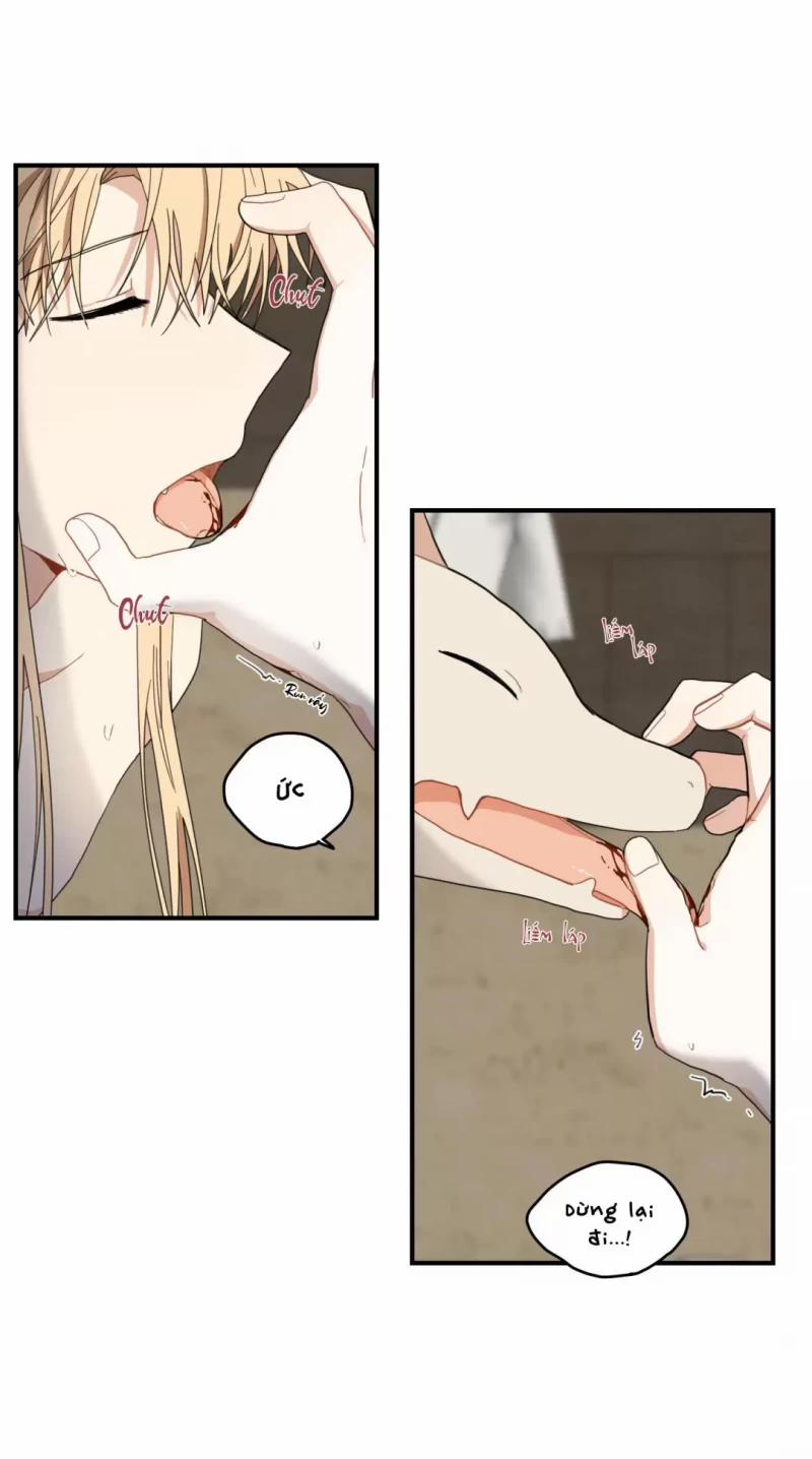 Dưới Tán Hoa Liên Kiều 9 trang 40