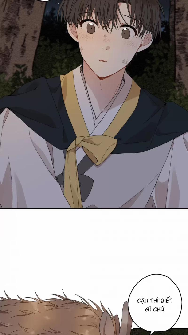 Dưới Tán Hoa Liên Kiều 9 trang 5