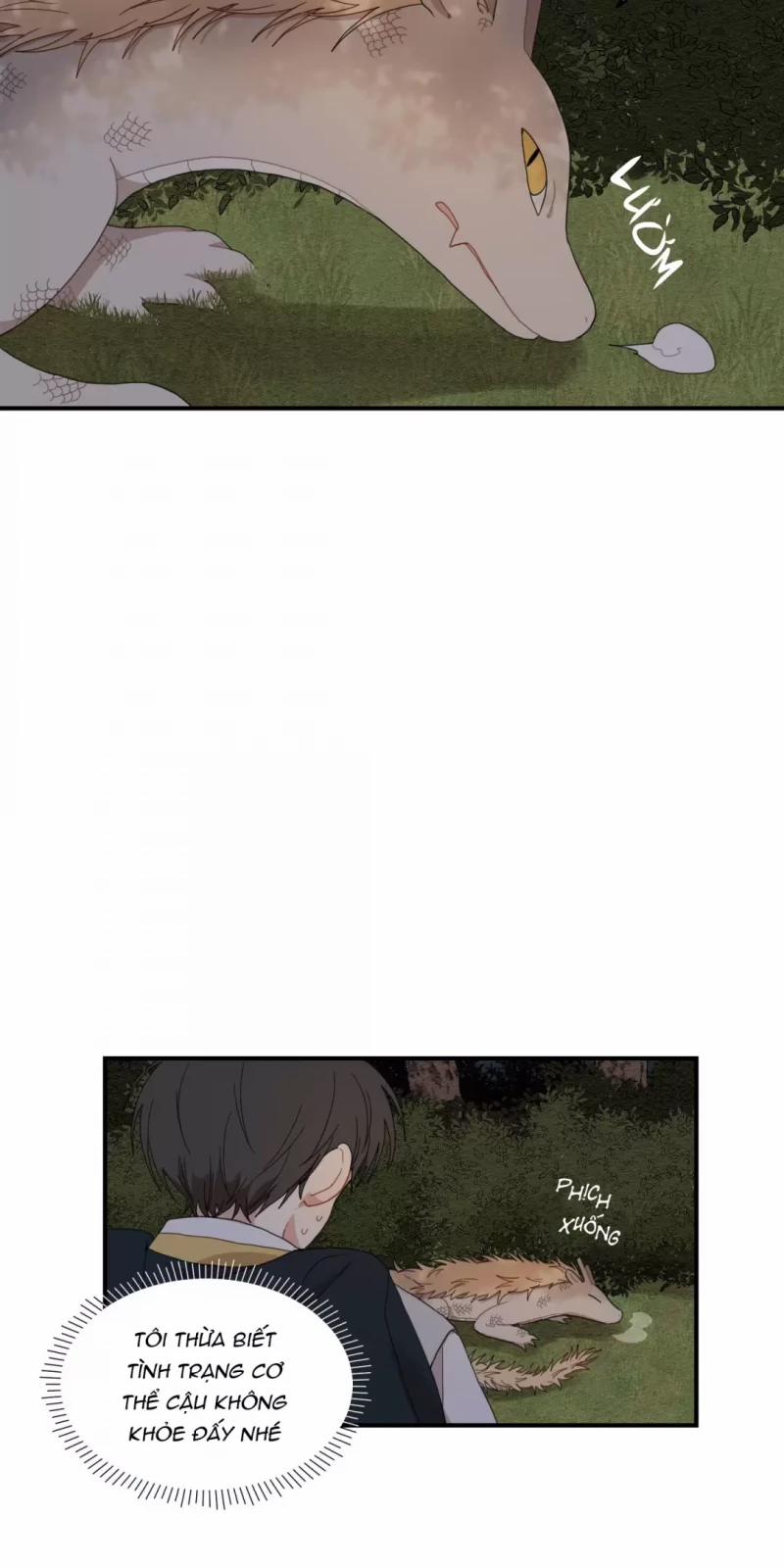 Dưới Tán Hoa Liên Kiều 9 trang 6