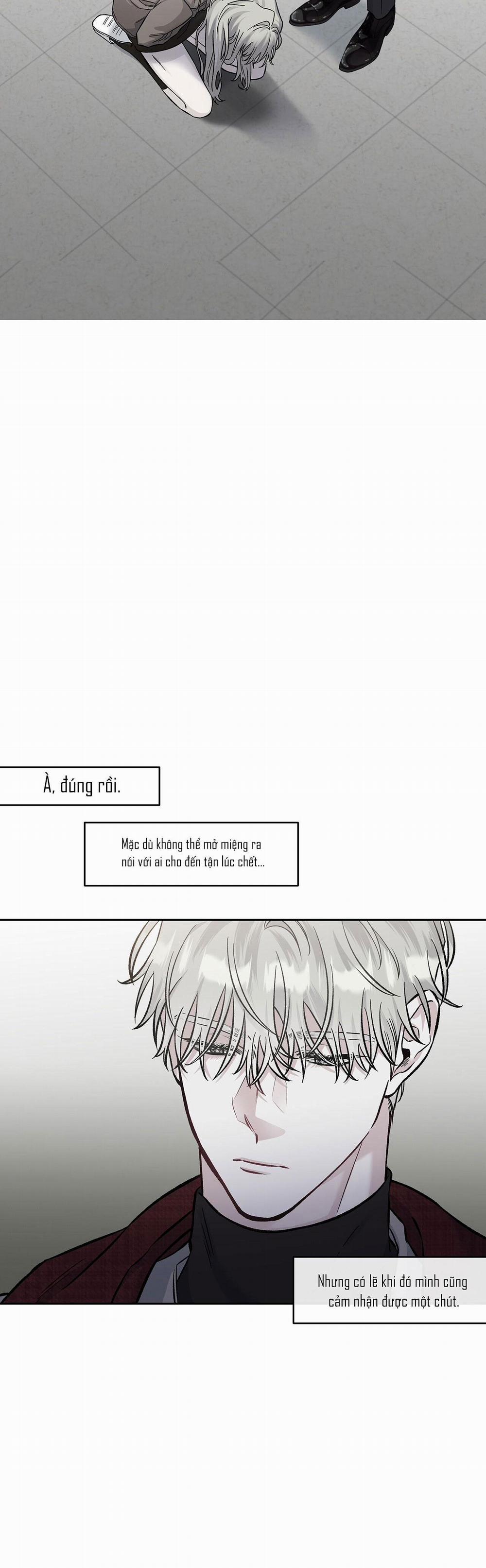 Dưới Vùng Đất Xanh 5 trang 22