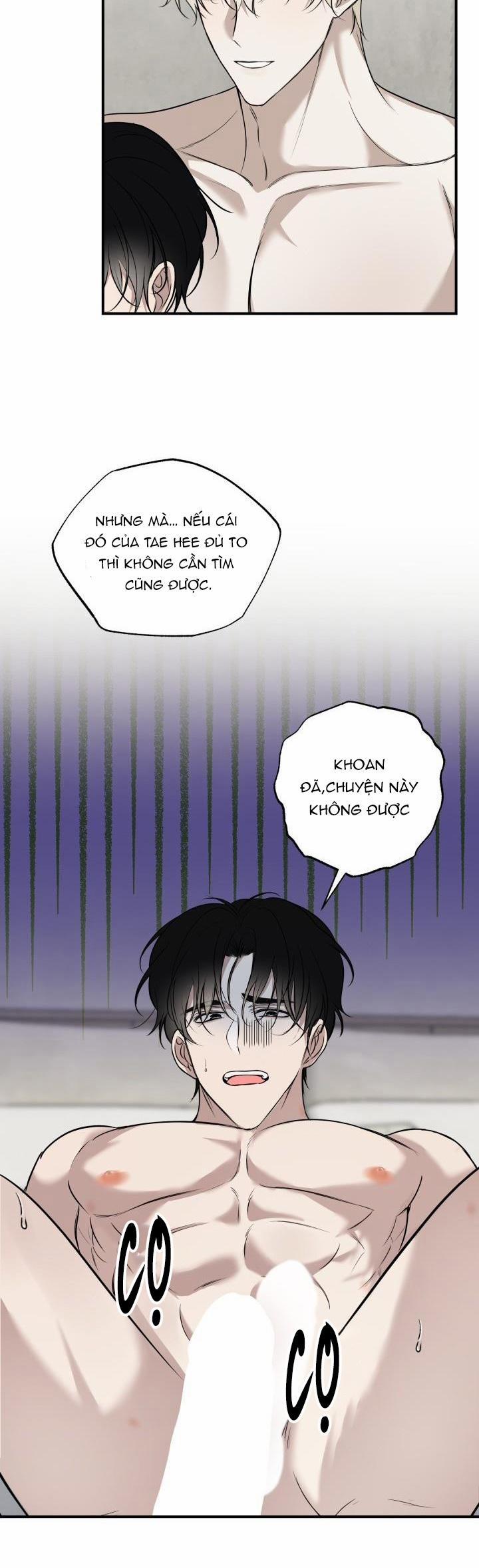 ĐƯỜNG CHÉO 11 trang 11