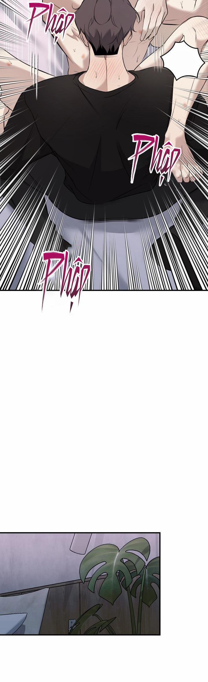 ĐƯỜNG CHÉO 11 trang 31