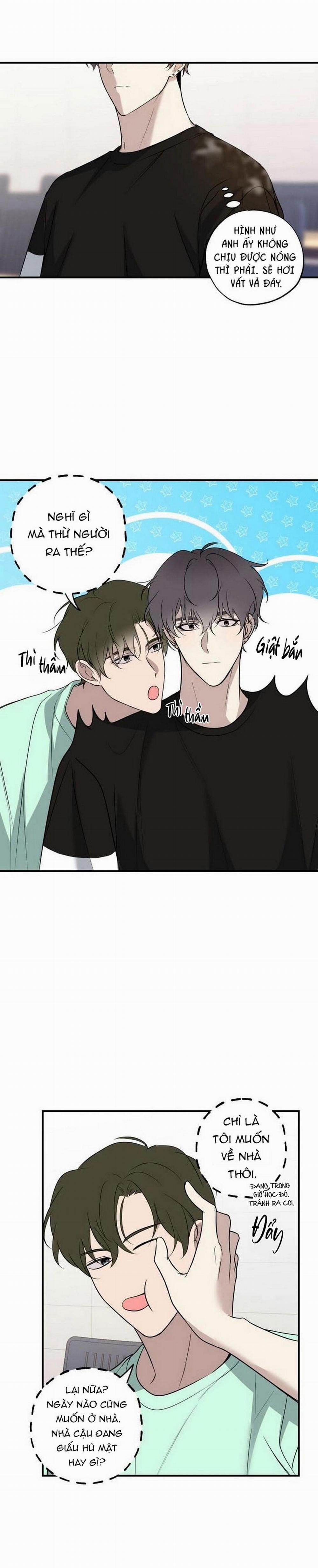 ĐƯỜNG CHÉO 12 trang 8