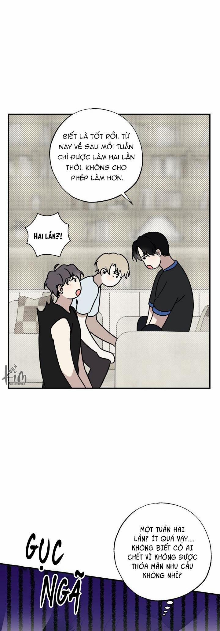 ĐƯỜNG CHÉO 13 trang 15