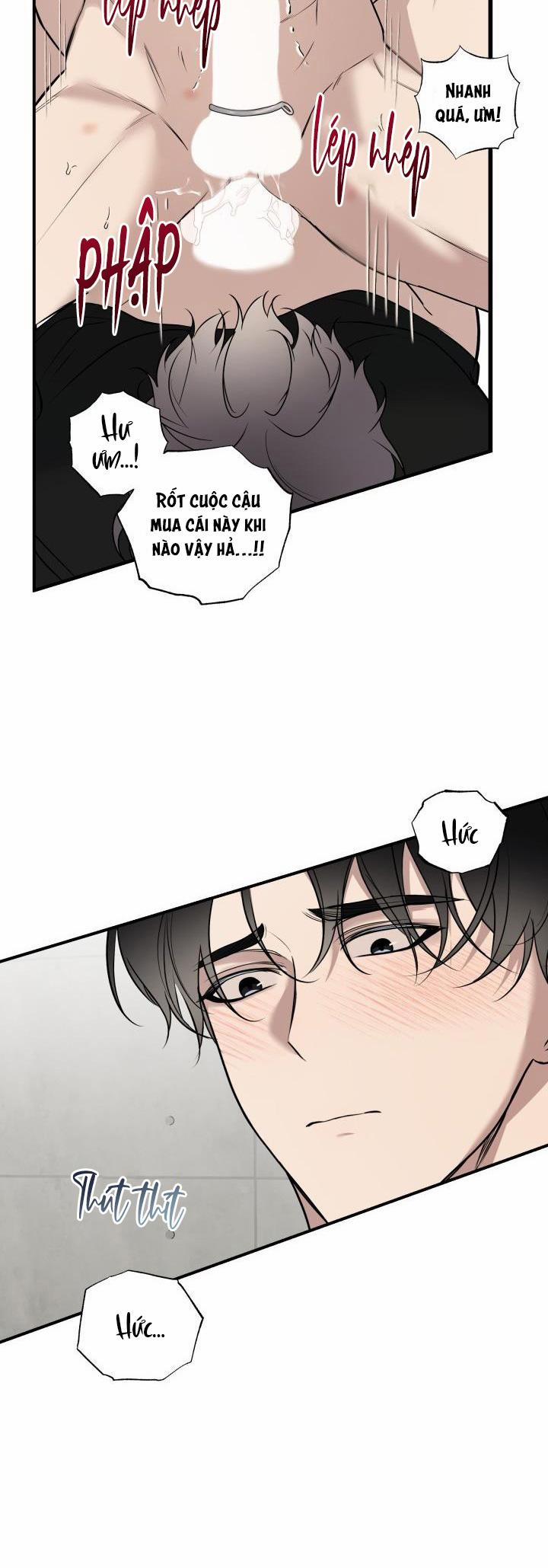 ĐƯỜNG CHÉO 13 trang 21