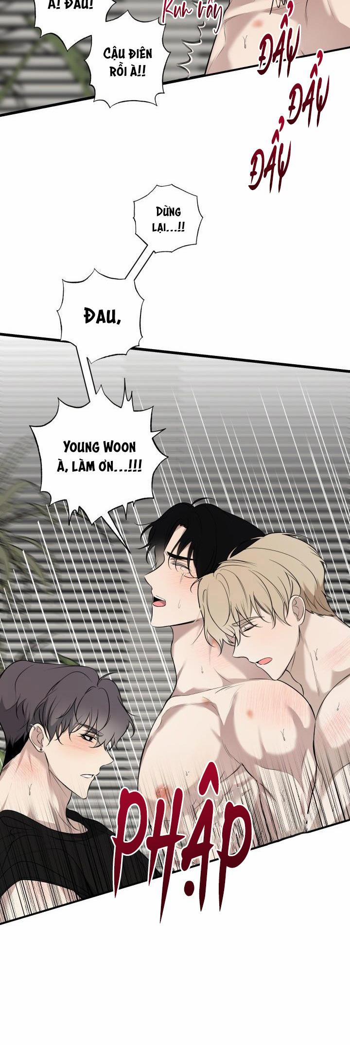 ĐƯỜNG CHÉO 13 trang 29