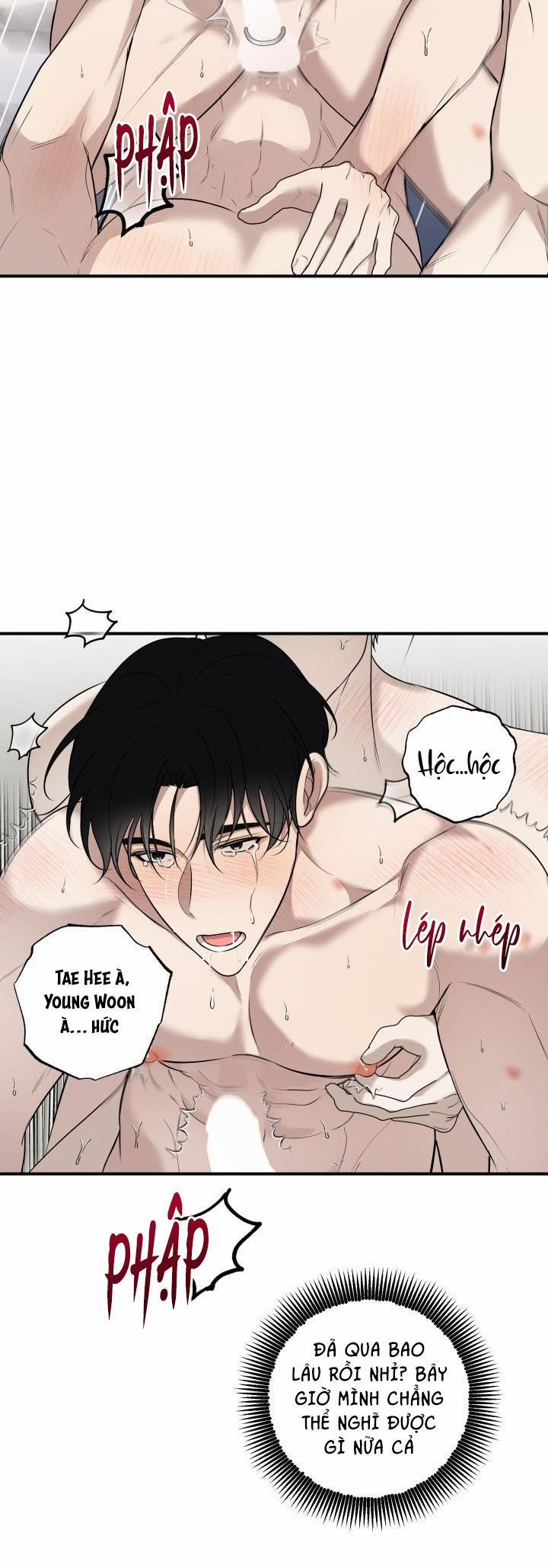 ĐƯỜNG CHÉO 13 trang 38