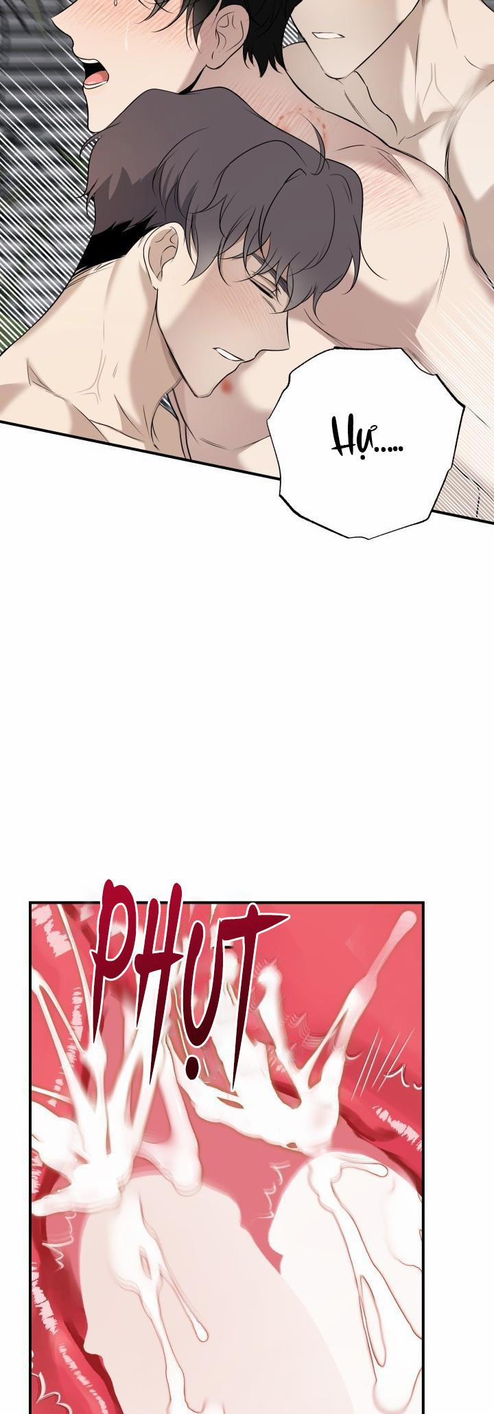 ĐƯỜNG CHÉO 13 trang 48