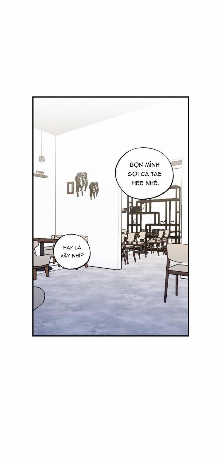 ĐƯỜNG CHÉO 9 trang 37