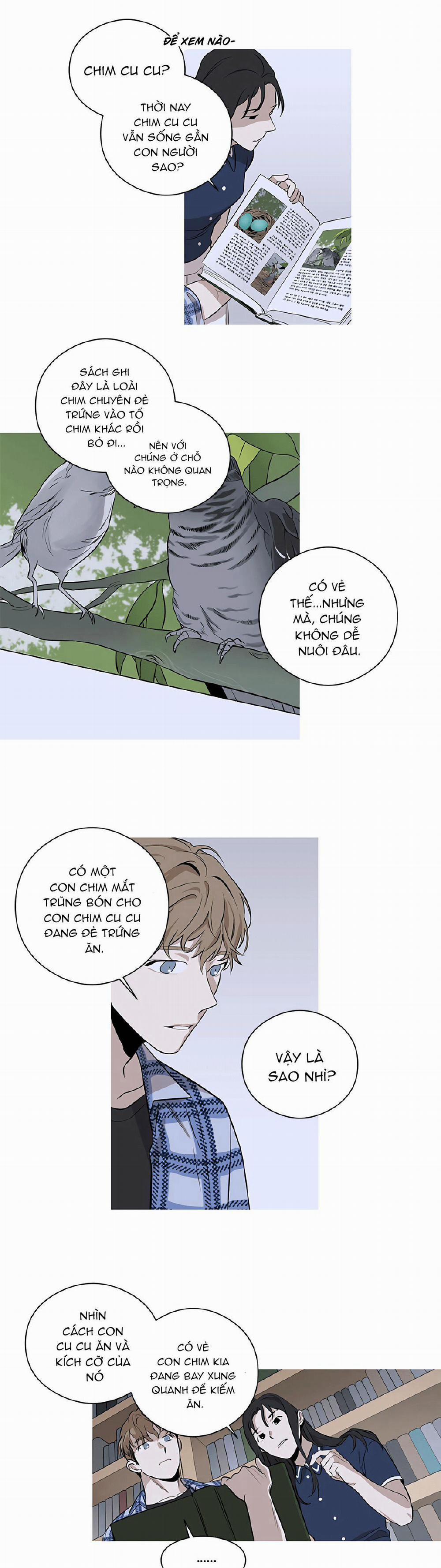 Đường Chim Bay 2 trang 1