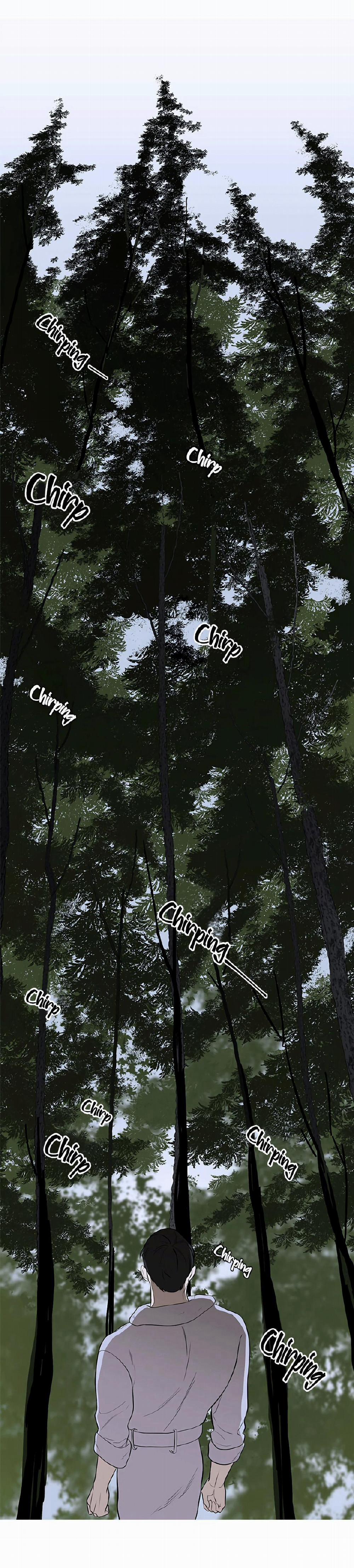 Đường Chim Bay 6 trang 11