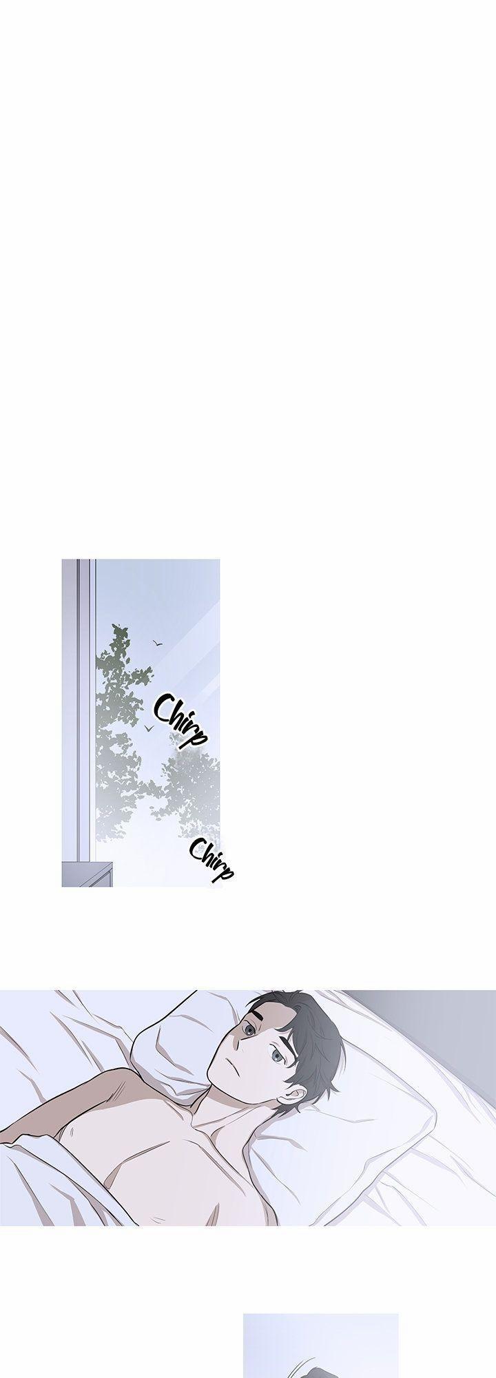 Đường Chim Bay 6 trang 5