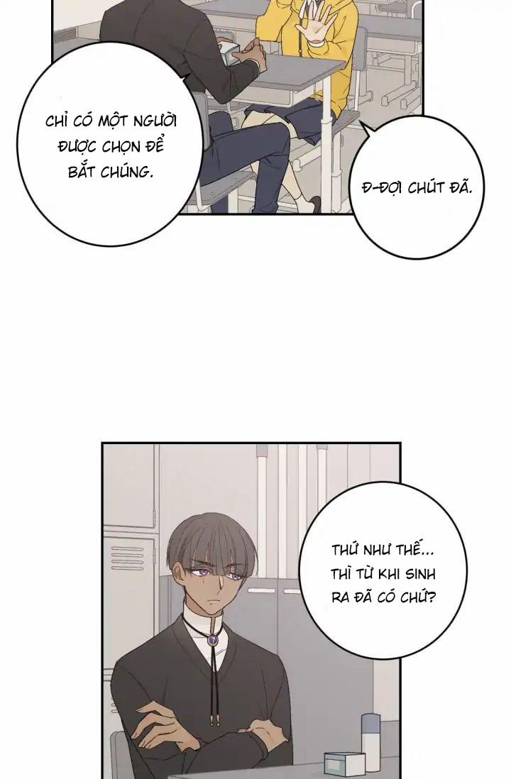 Đường Đến Mire 3 trang 26