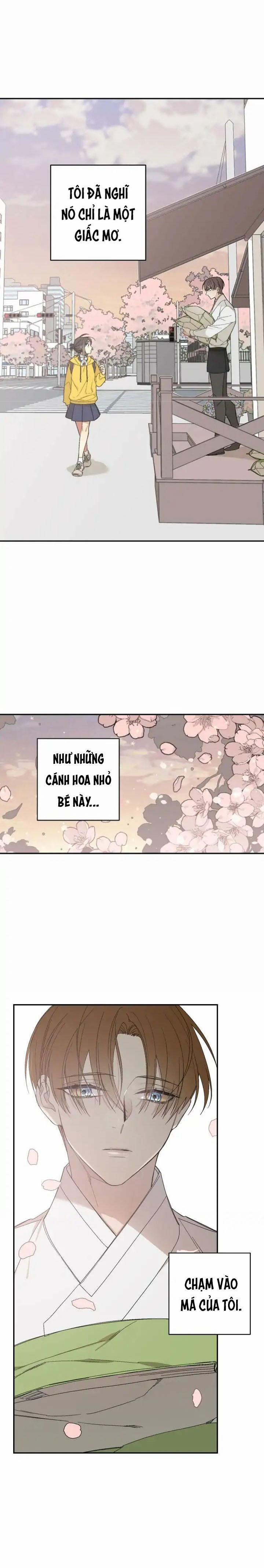 Đường Đến Mire 4 trang 0