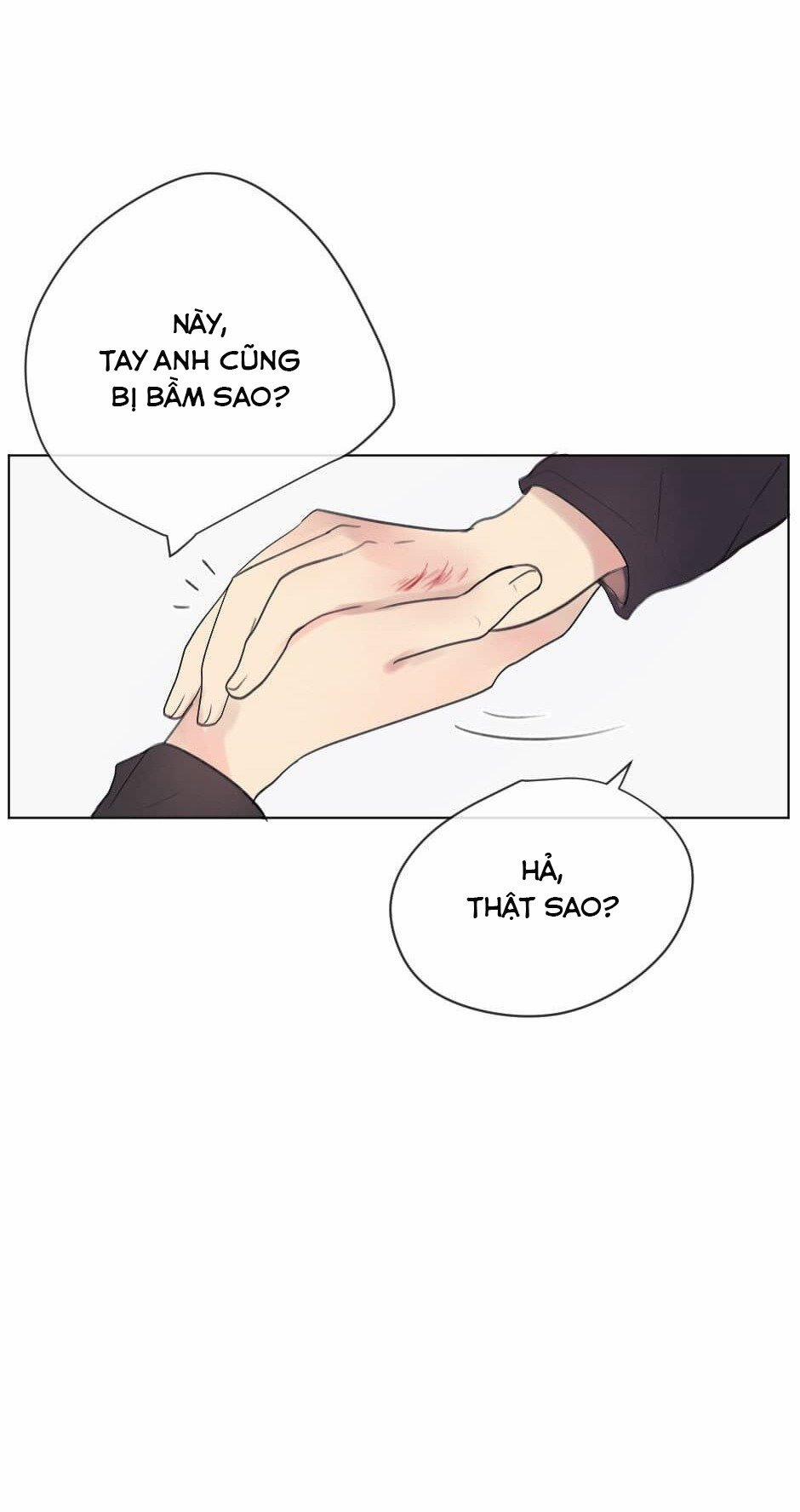 Đường Đến Tim Em 13 trang 24