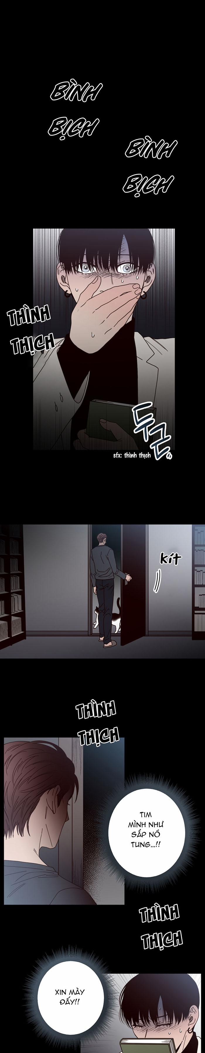 Đường Giao Nhau 15 trang 0