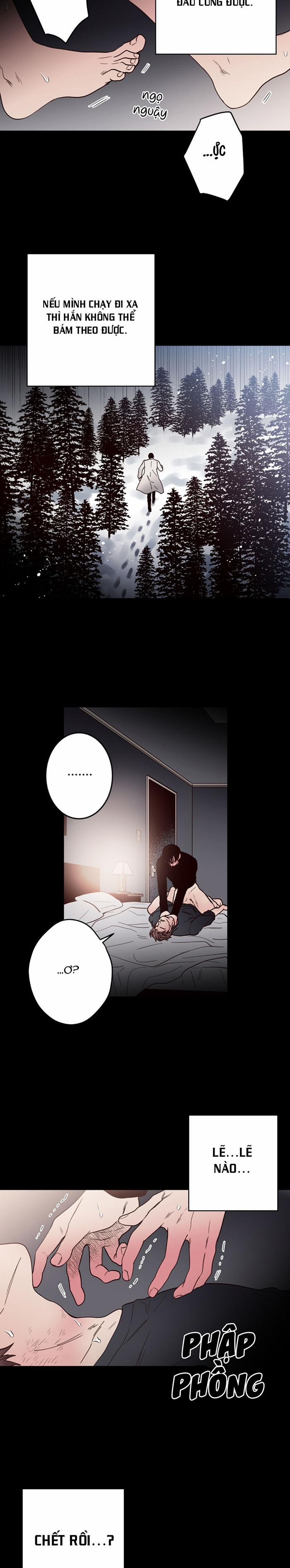 Đường Giao Nhau 17 trang 14