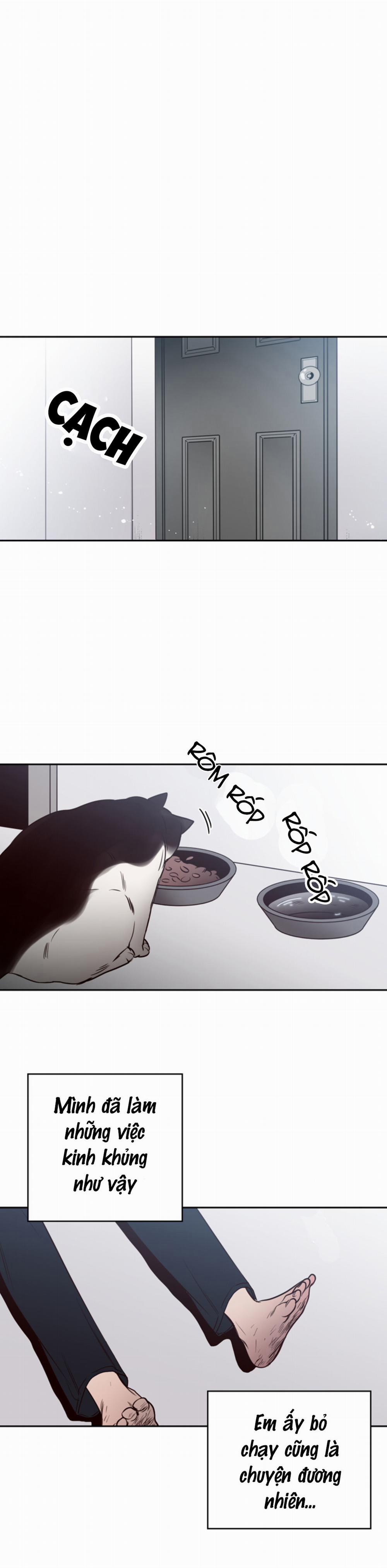 Đường Giao Nhau 19 trang 19