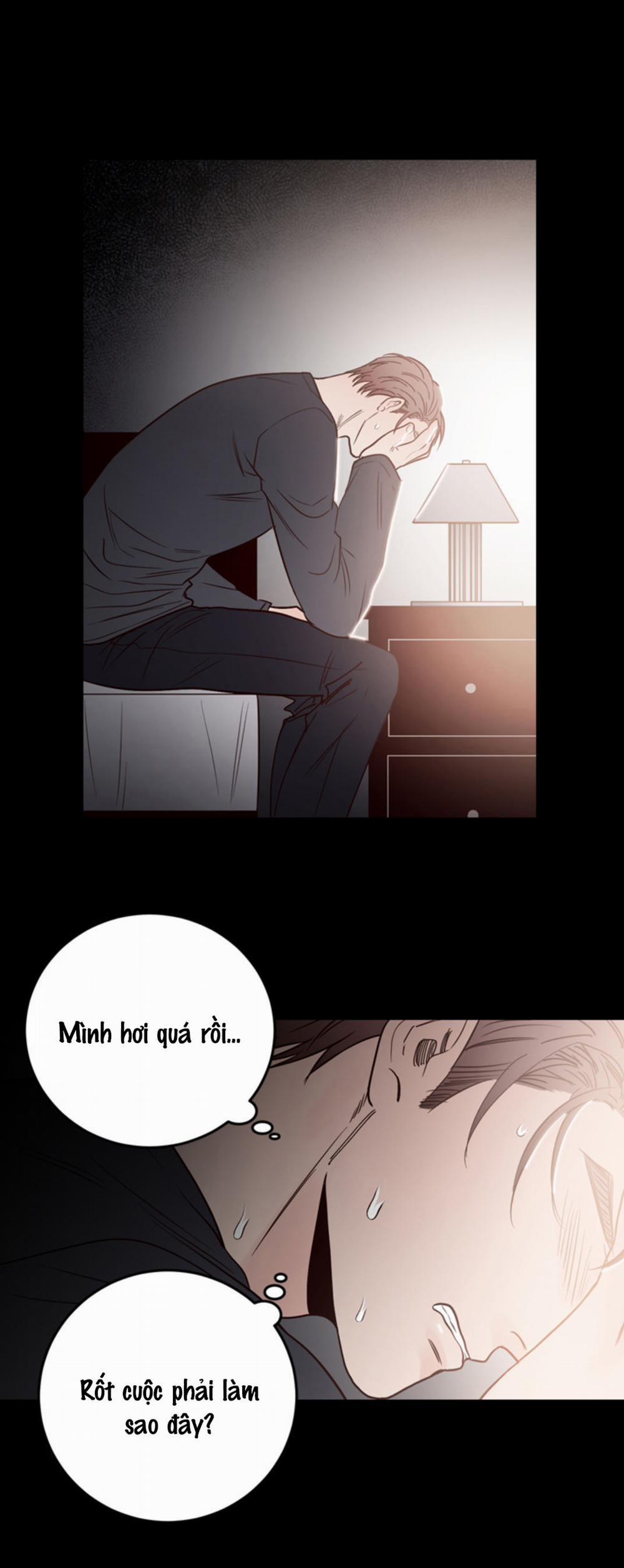 Đường Giao Nhau 19 trang 7