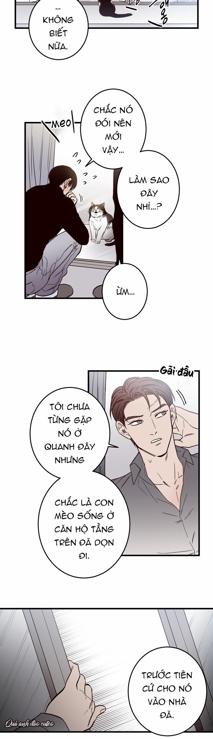 Đường Giao Nhau 2 trang 4