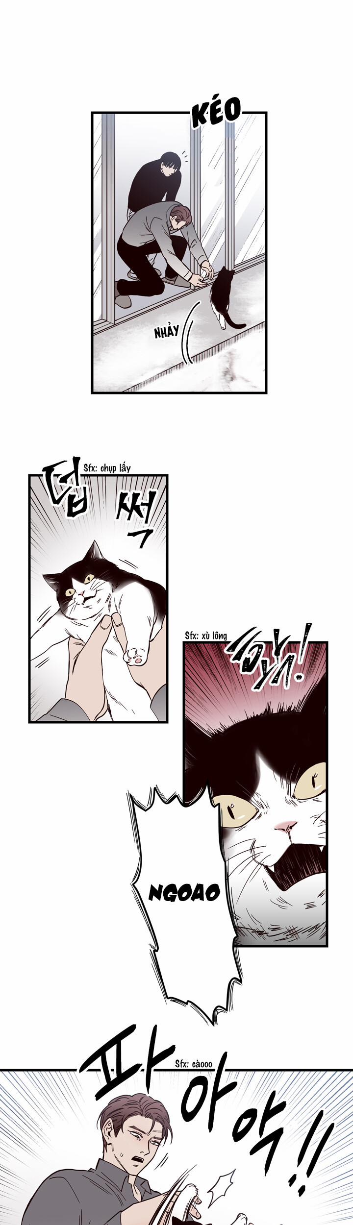 Đường Giao Nhau 2 trang 5