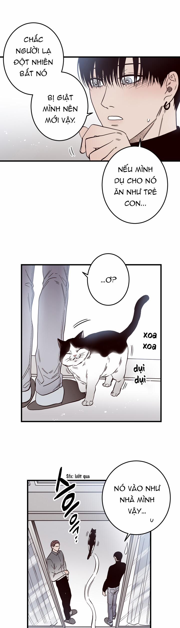 Đường Giao Nhau 2 trang 7