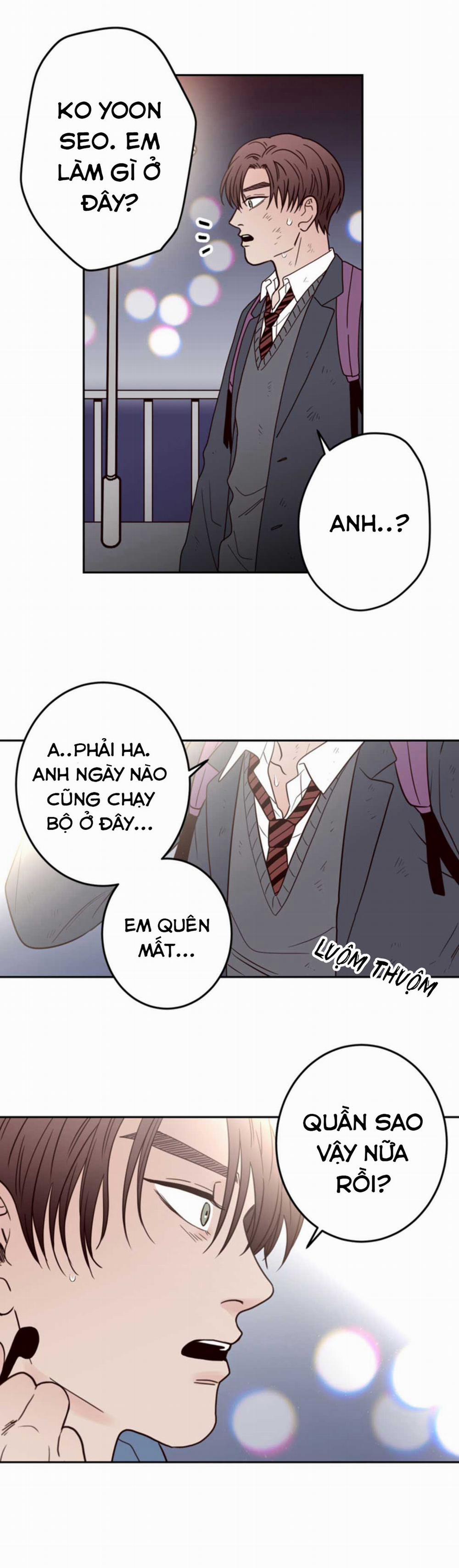 Đường Giao Nhau 20 trang 14