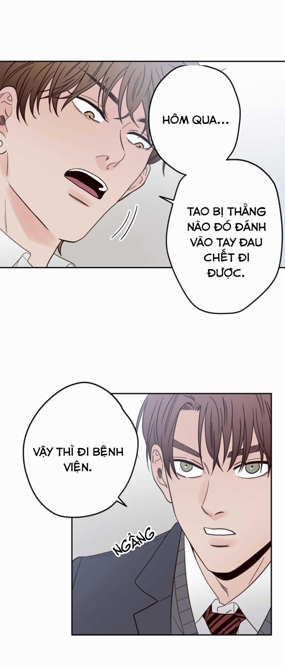 Đường Giao Nhau 20 trang 20