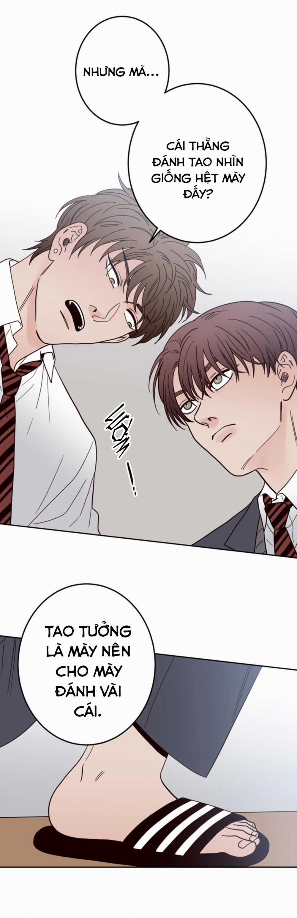 Đường Giao Nhau 20 trang 21