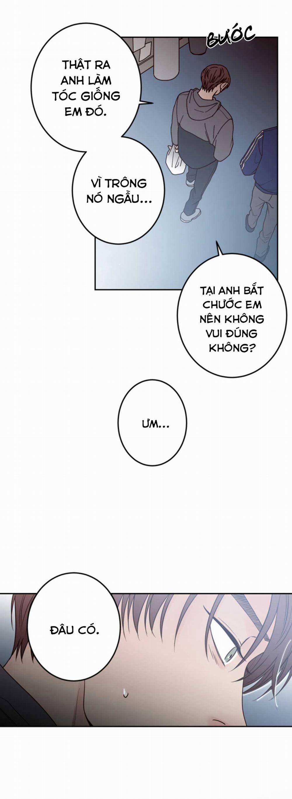 Đường Giao Nhau 20 trang 6