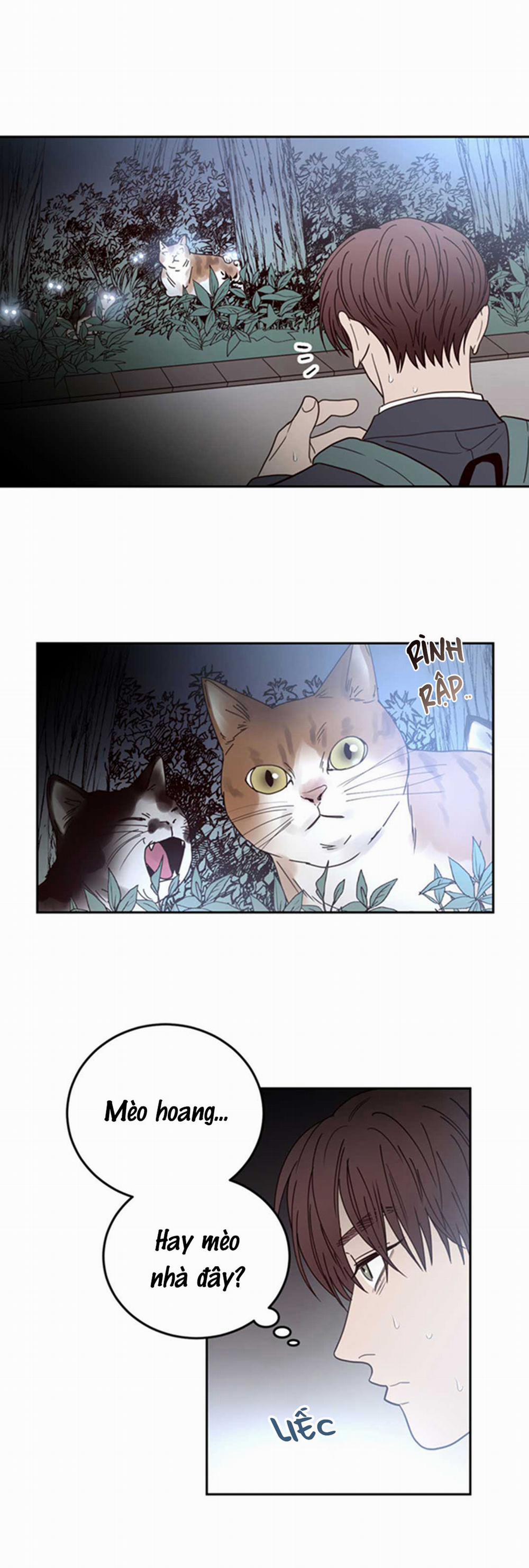 Đường Giao Nhau 21 trang 13