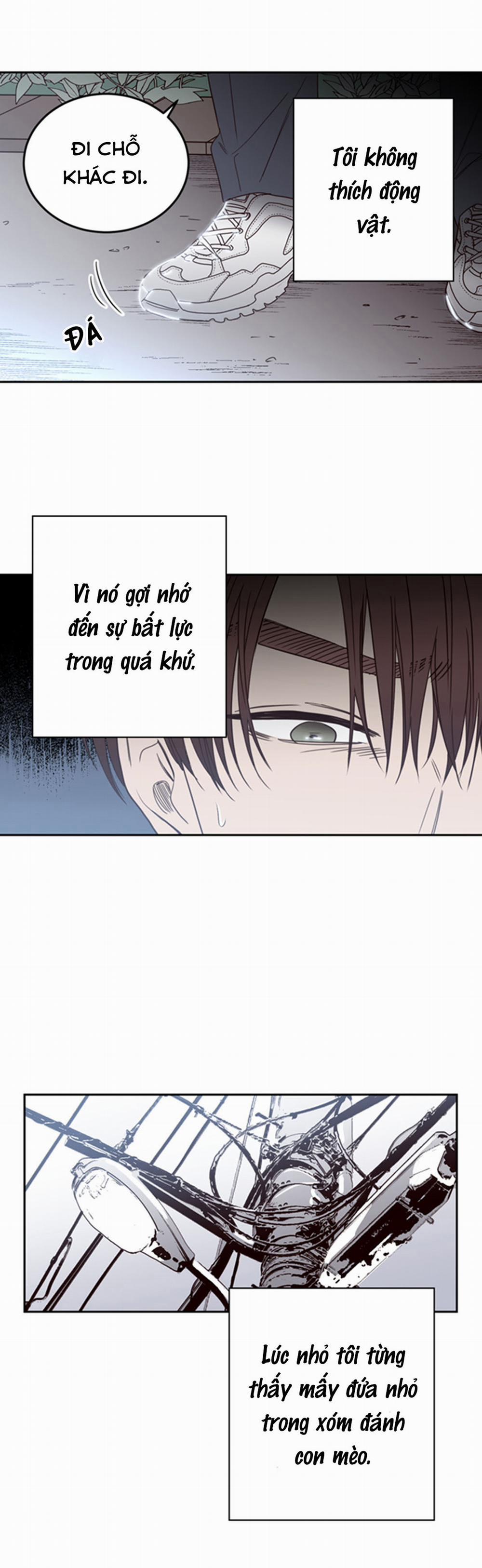 Đường Giao Nhau 21 trang 14