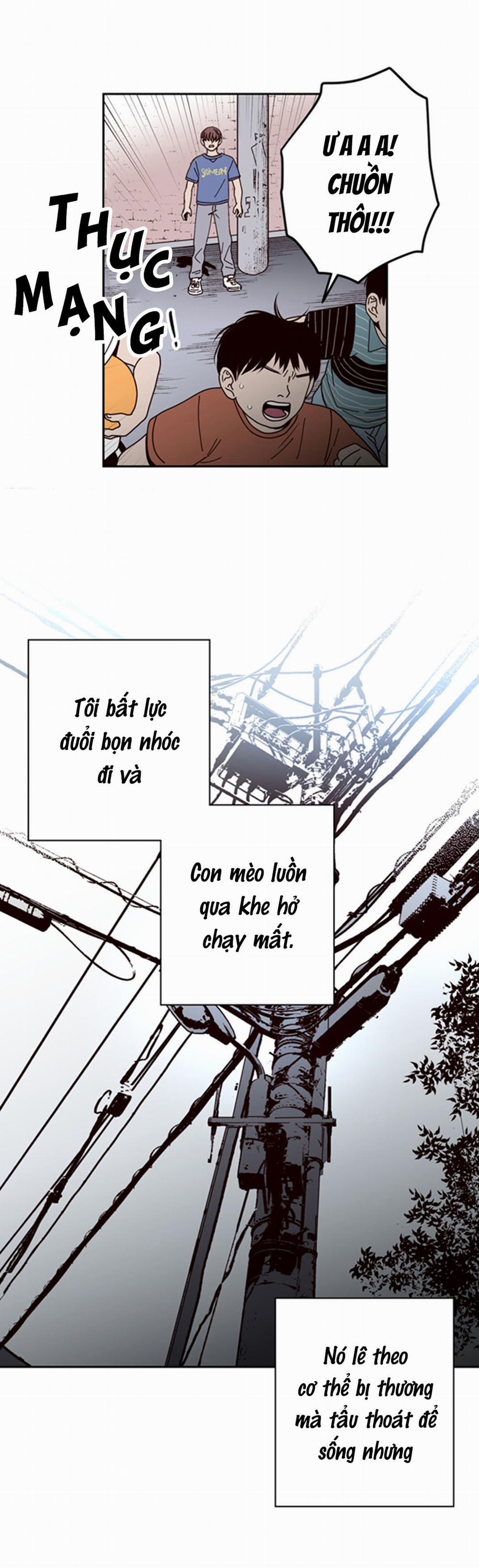 Đường Giao Nhau 21 trang 16