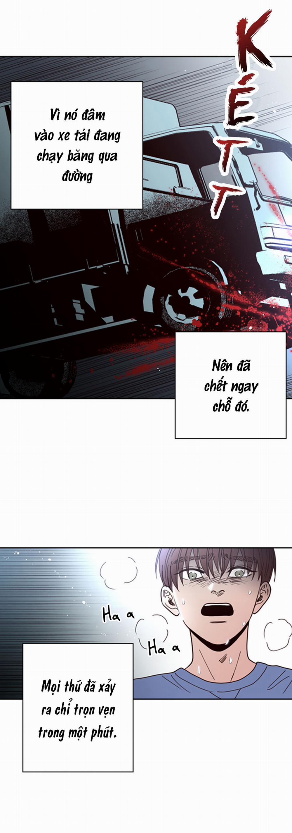 Đường Giao Nhau 21 trang 17