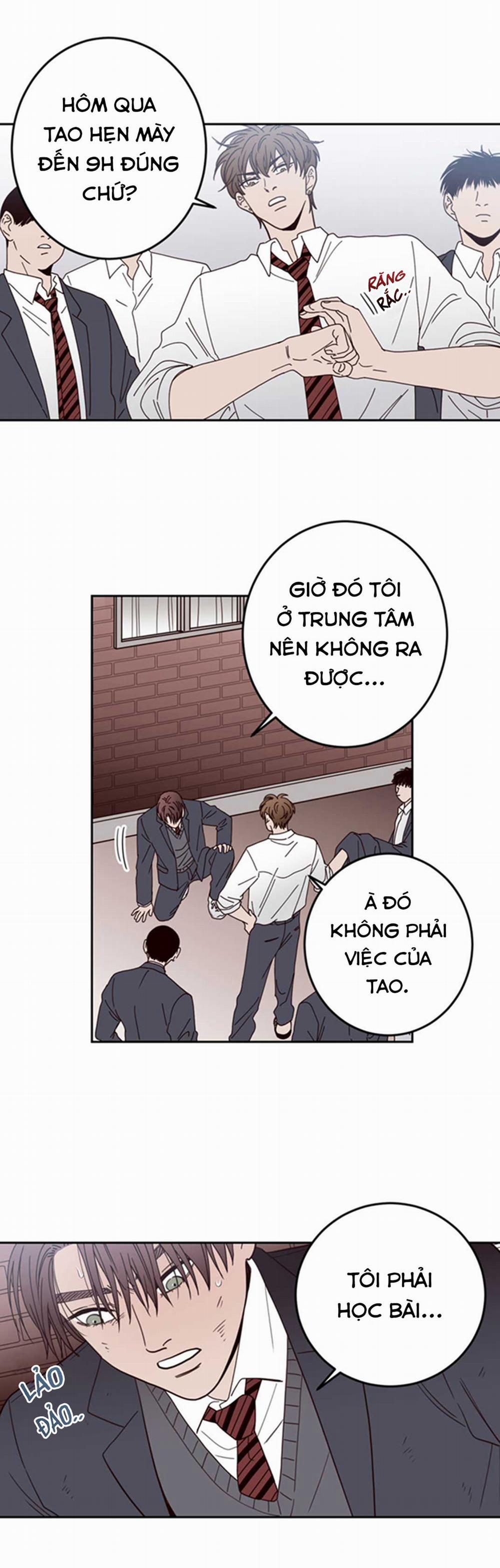 Đường Giao Nhau 21 trang 7