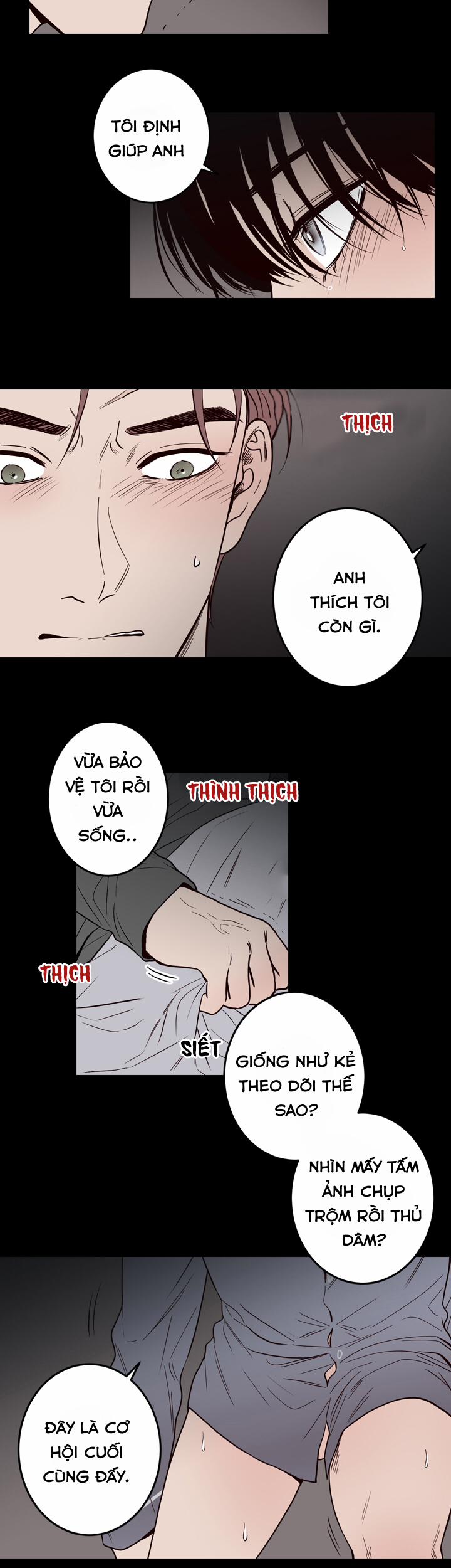 Đường Giao Nhau 23 trang 15