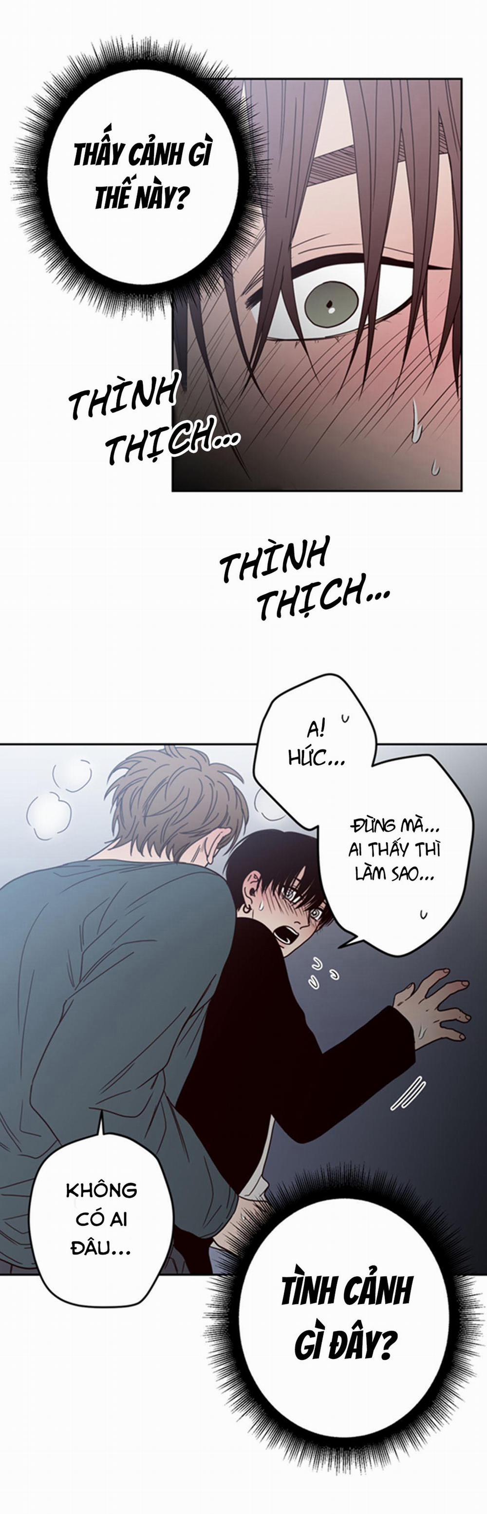 Đường Giao Nhau 24 trang 12