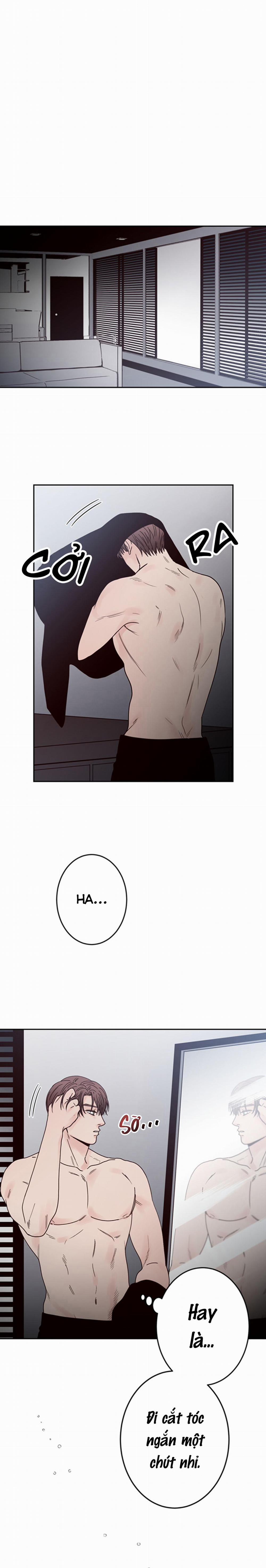 Đường Giao Nhau 25 trang 21