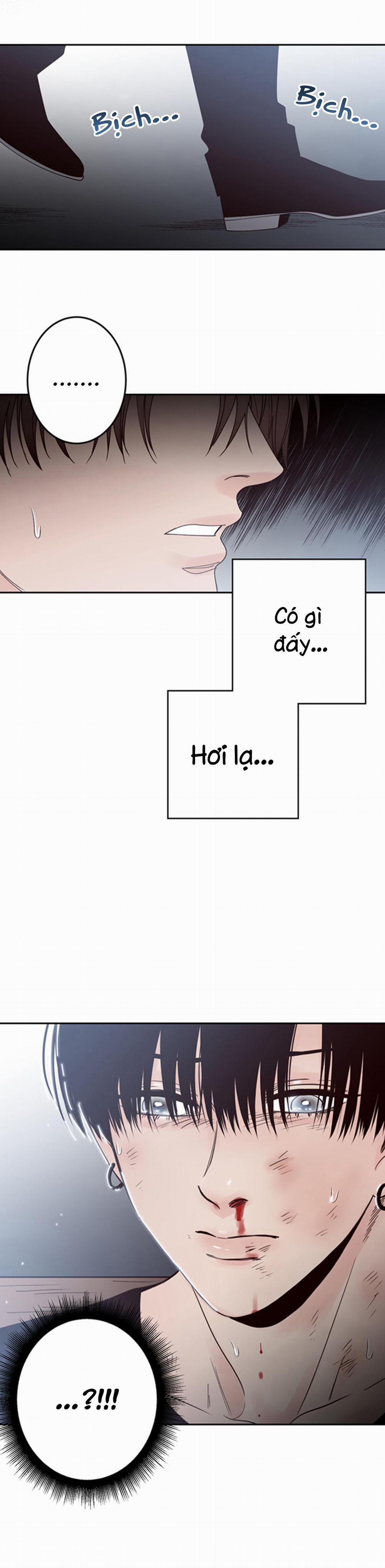 Đường Giao Nhau 25 trang 5