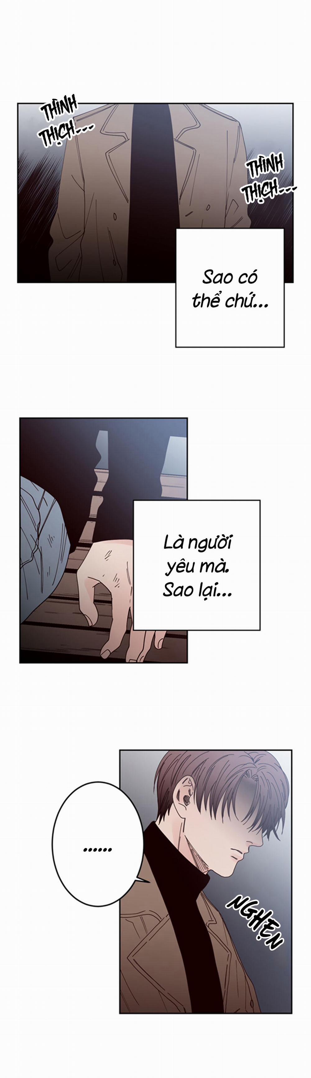 Đường Giao Nhau 25 trang 7