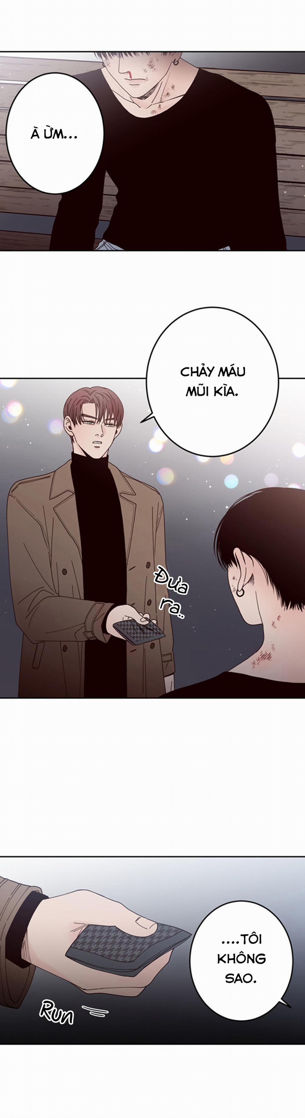 Đường Giao Nhau 25 trang 8