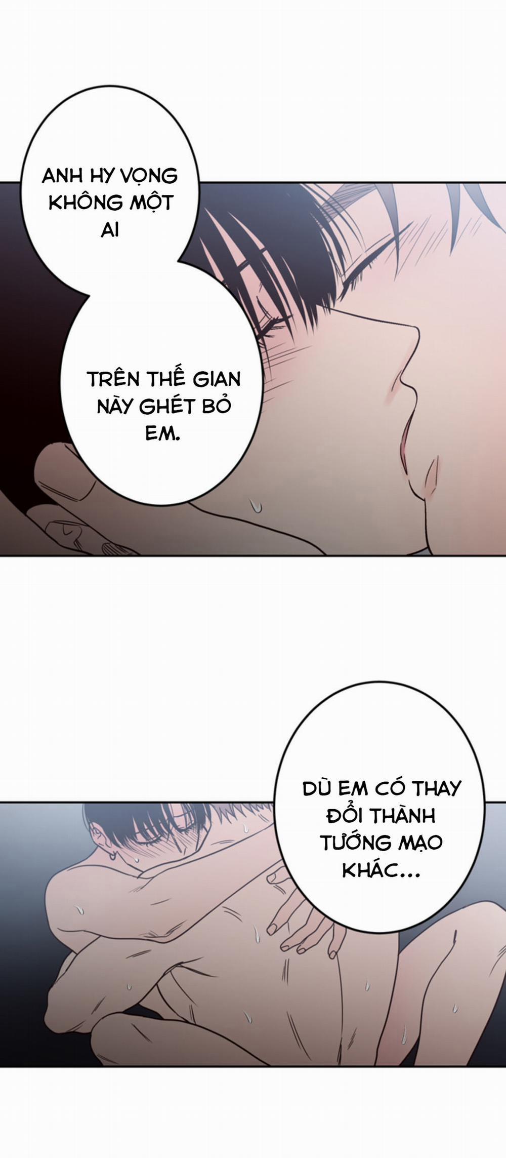 Đường Giao Nhau 28 trang 8