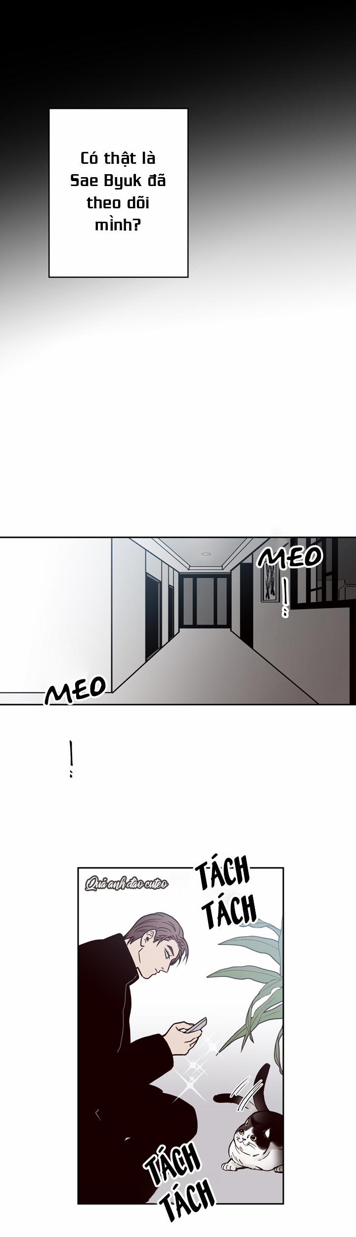 Đường Giao Nhau 3 trang 15