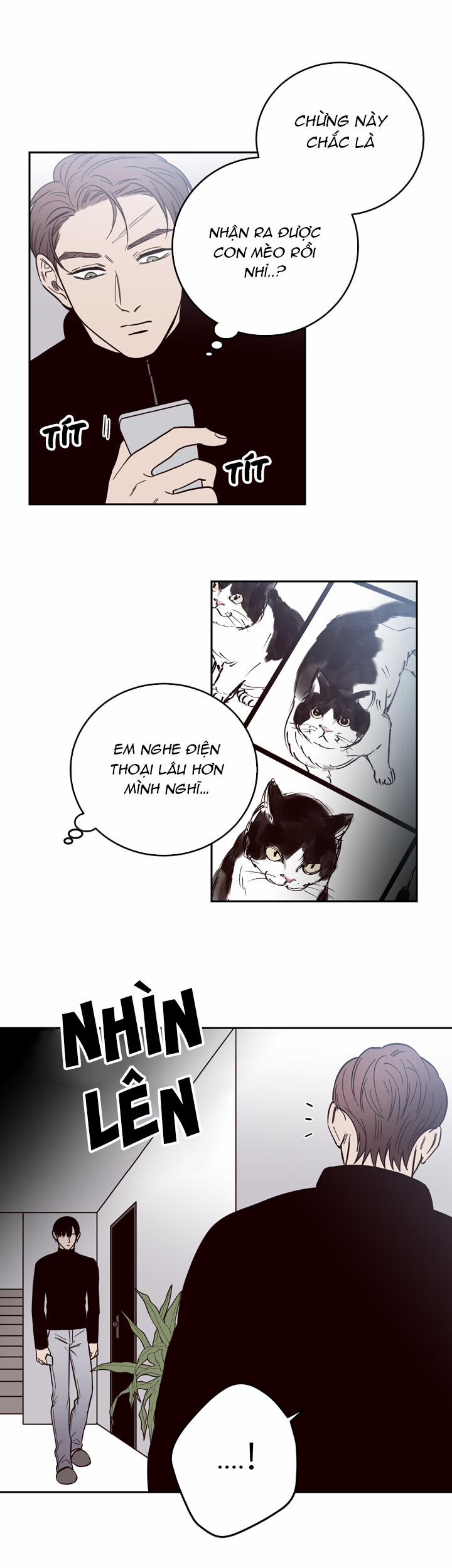 Đường Giao Nhau 3 trang 16