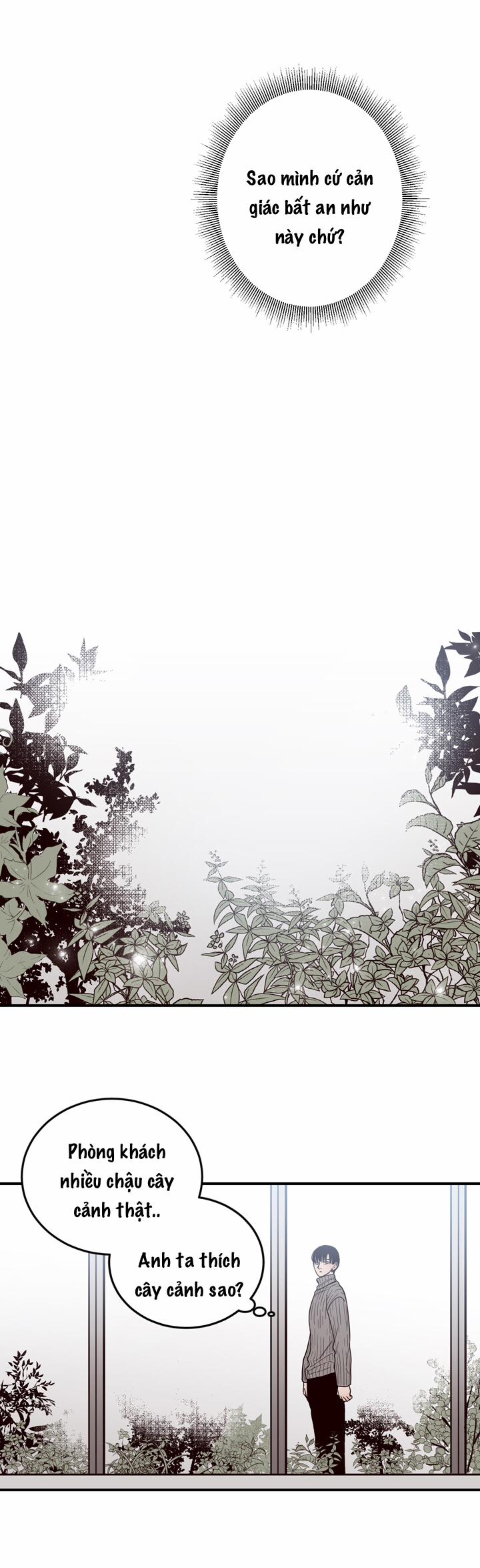 Đường Giao Nhau 31 trang 4