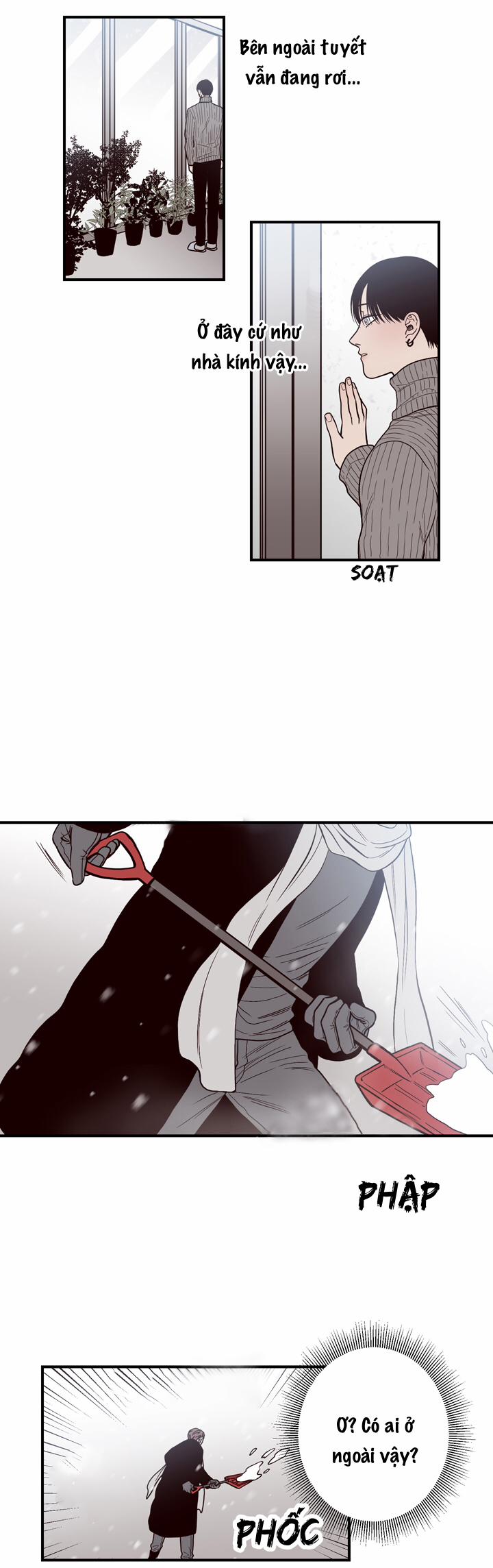 Đường Giao Nhau 31 trang 5