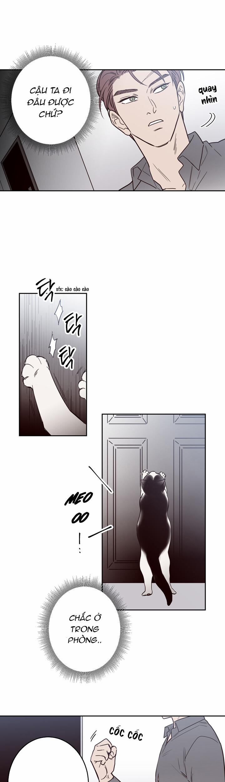 Đường Giao Nhau 4 trang 5