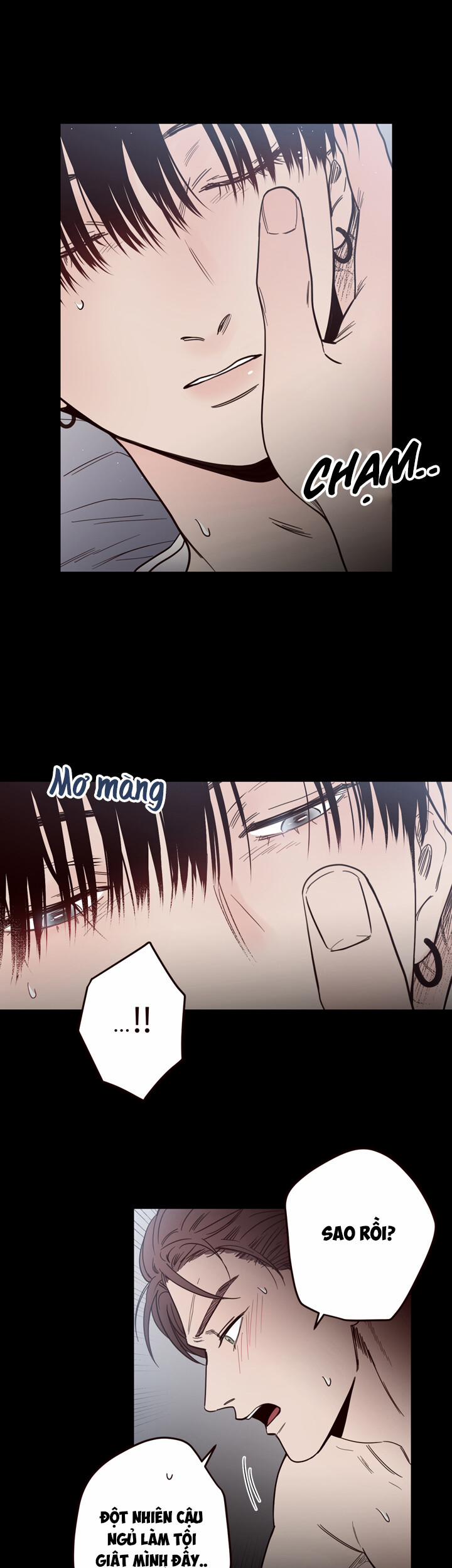 Đường Giao Nhau 6 trang 11