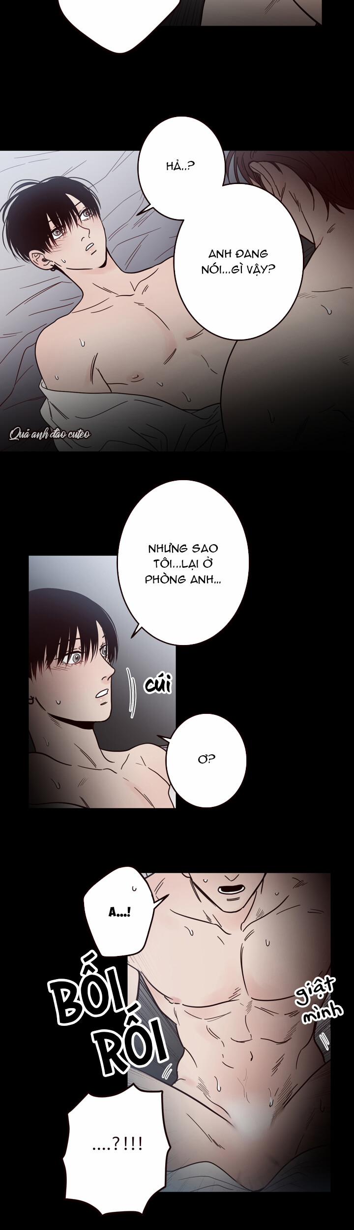 Đường Giao Nhau 6 trang 12